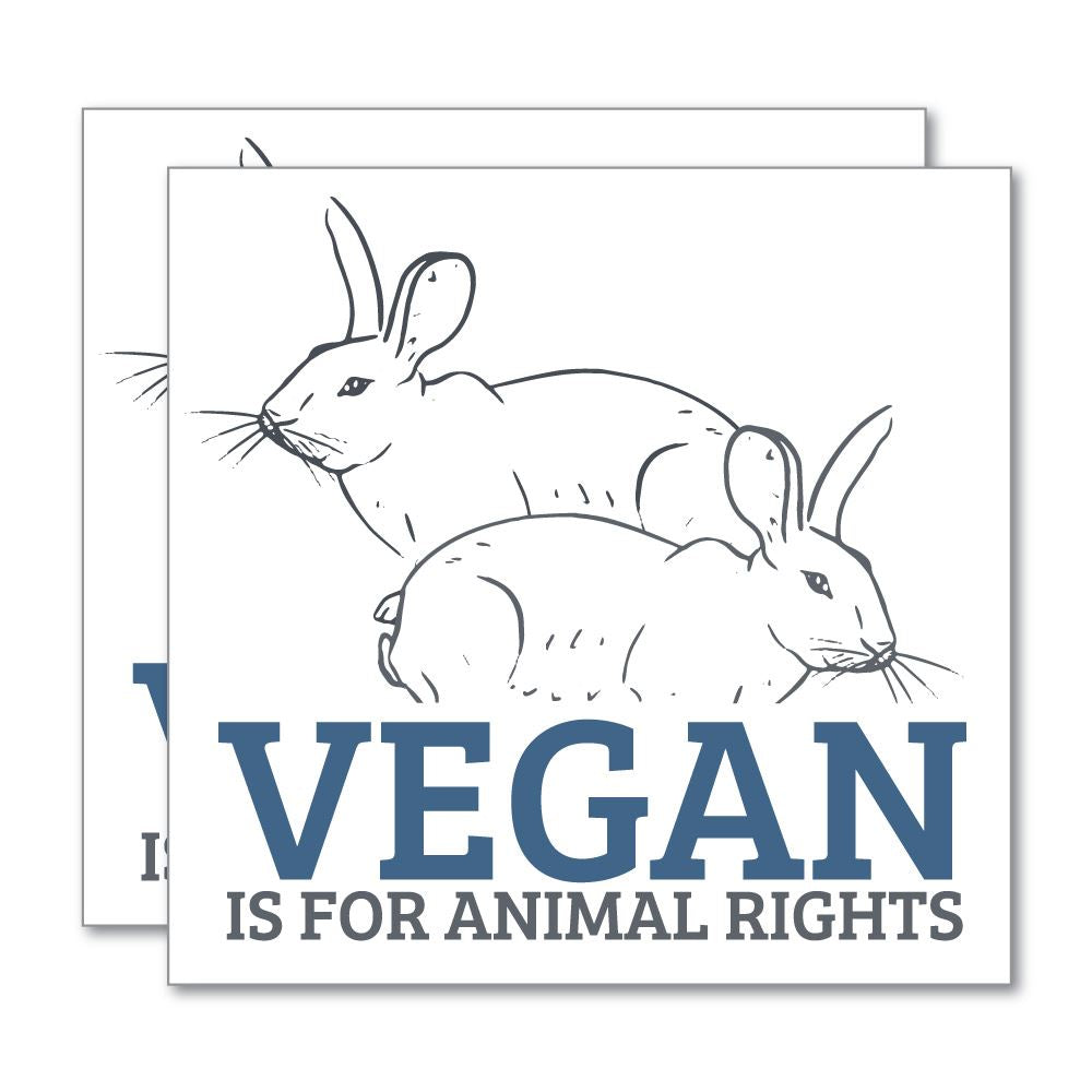 2X Vegan Is For Animal Rights Sticker Decal
