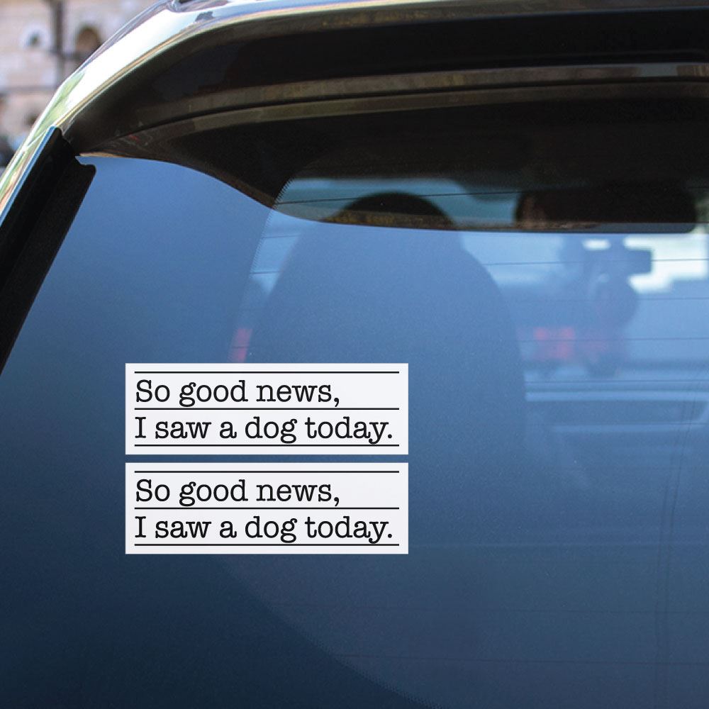 2X I Saw A Dog Today Sticker Decal