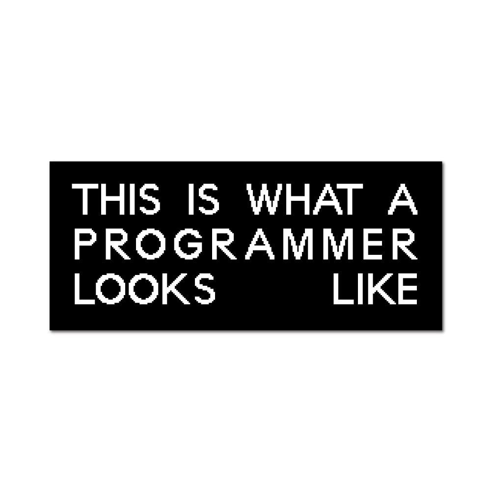 Programmer Sticker Decal | Geek Stickers - Little Sticker Boy