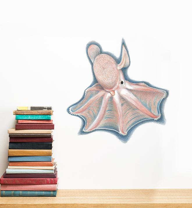 Spread out Dumbo Octopus Wall Sticker