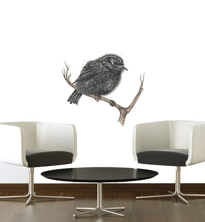 NZ Black Robin Bird Wall Sticker