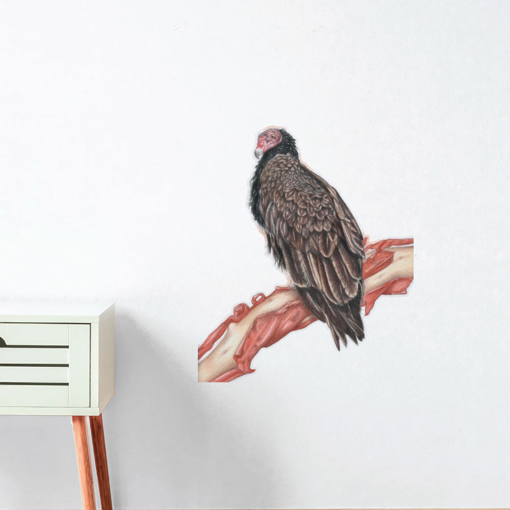 Turkey Vulture on Arbutus Bough Wall Sticker
